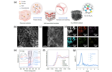 Atomic design of SACs directs PMS activation through ETP 2025.100681